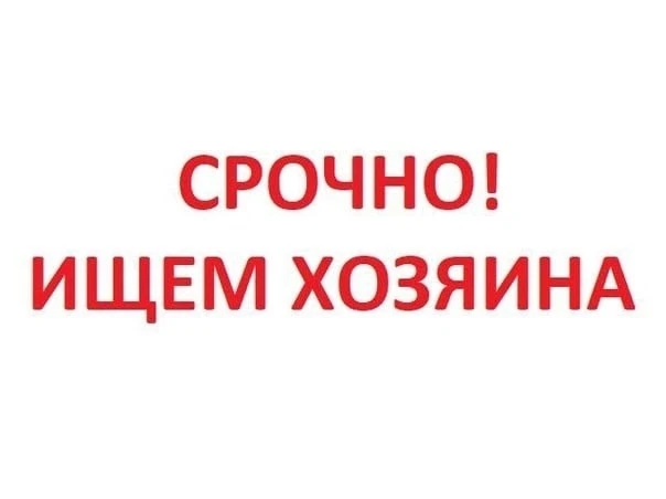 Срочно ❗❗❗
Ищу собственников квартиры по адресу  Ул маршала Жукова дом 16 А квартира 50‼️Вы топите н