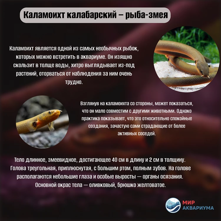 Мы ждём вас в гости каждый день:
Пн-Вс: с 10.00 до 20.00
г. Тюмень, ул. А. Логунова 4
г. Тюмень, пр.