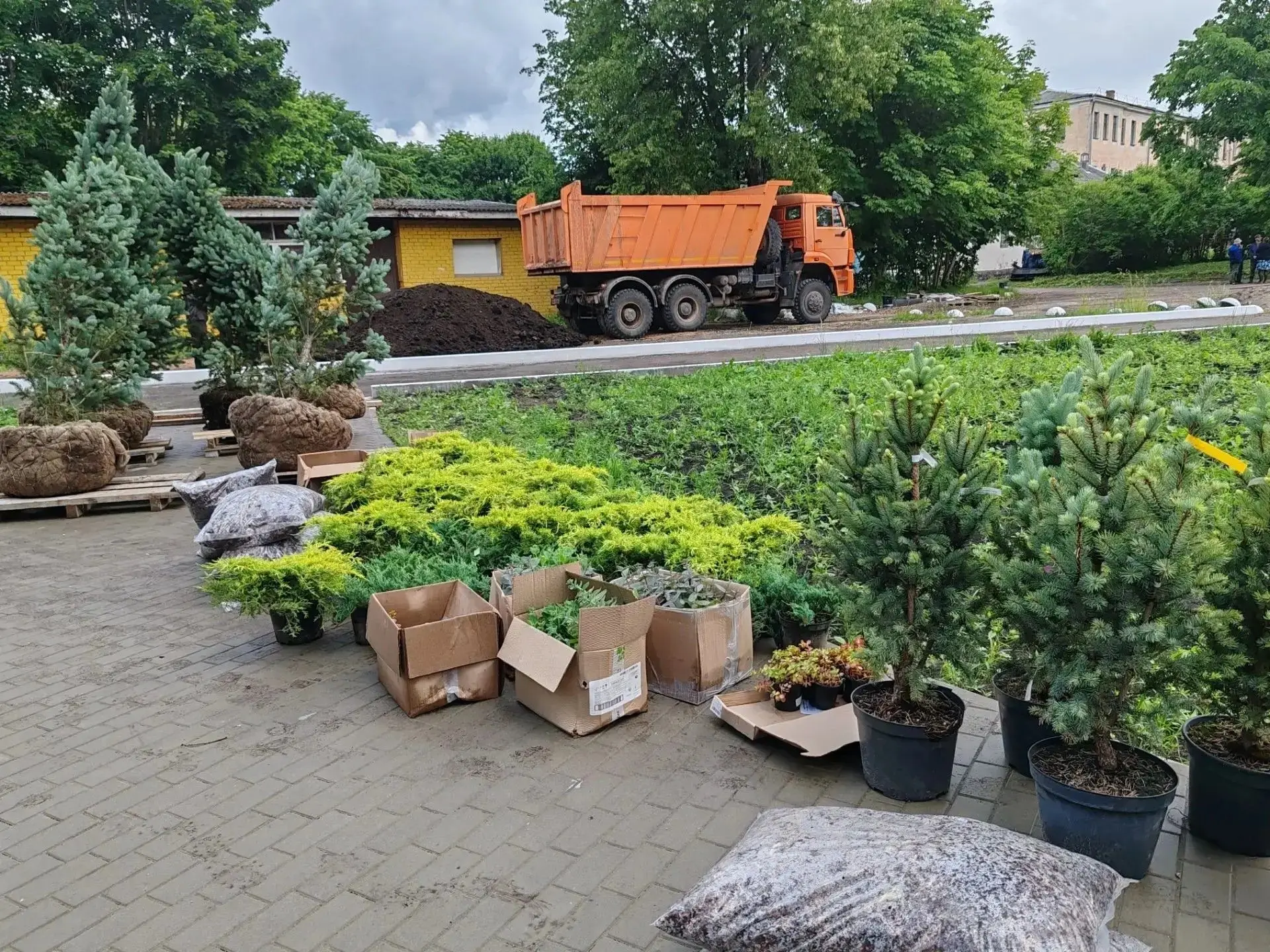 🌳 Благоустройство «Аллеи Памяти» в Опочке: начинается озеленение.

В Опочке стартовали работы по оз