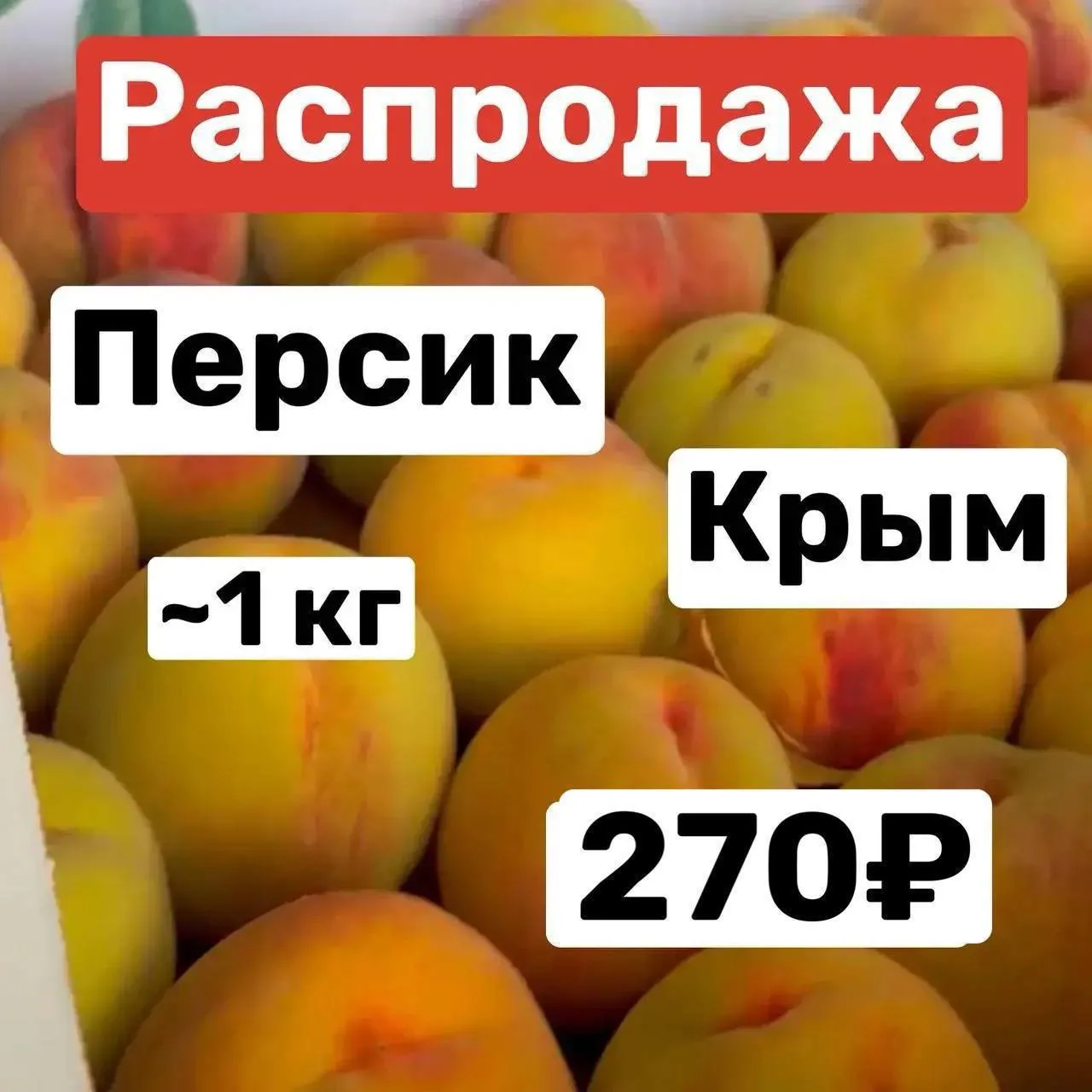 🍑Персик, Голубика ,Вишня , Ананасы , Манго.
Выдаем заказы 23 июля  ( Четверг)

Что в ассортименте:
