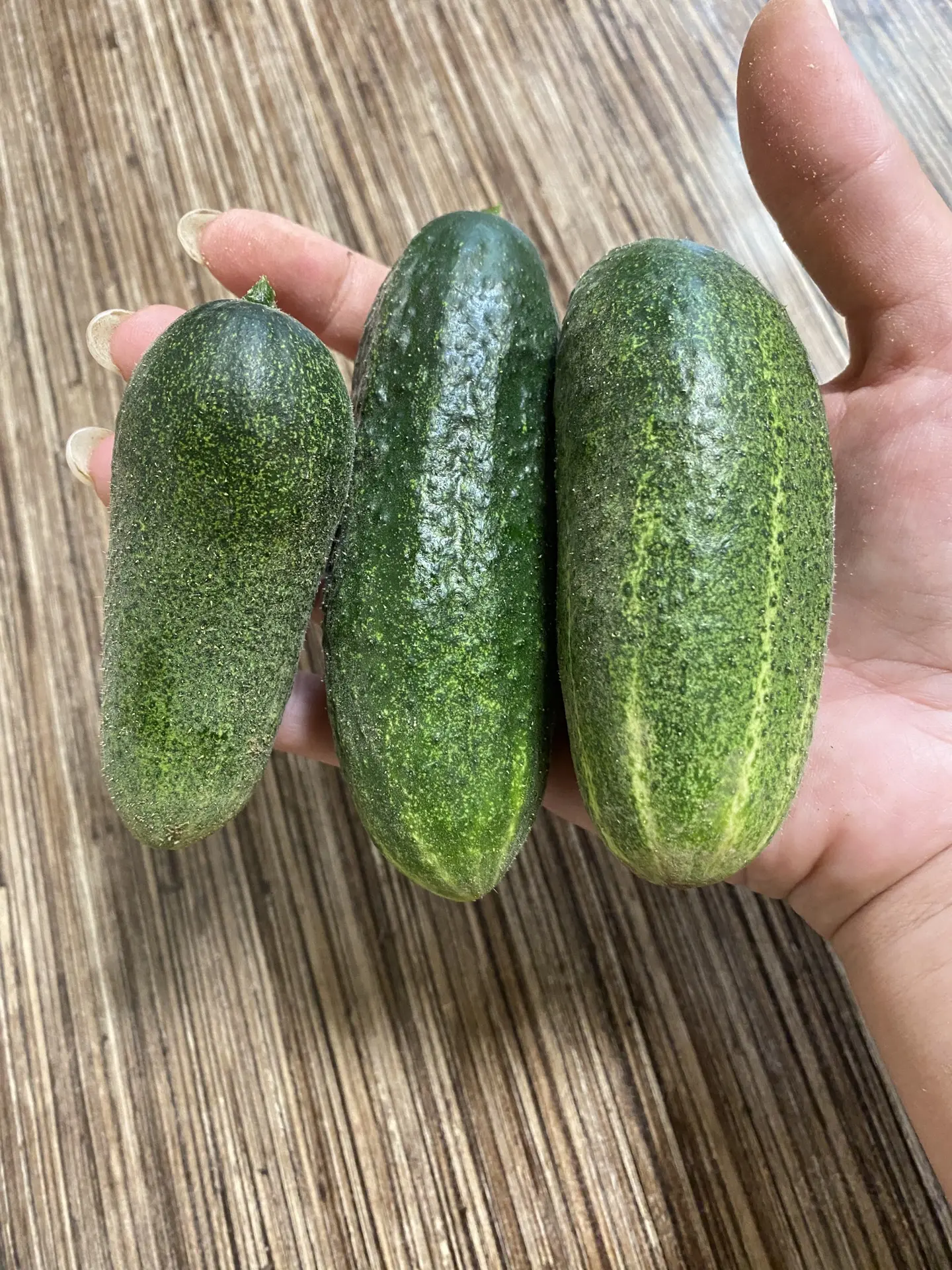 Мой первый урожай огурцов.🥒

Все таки я их доканала 🙌