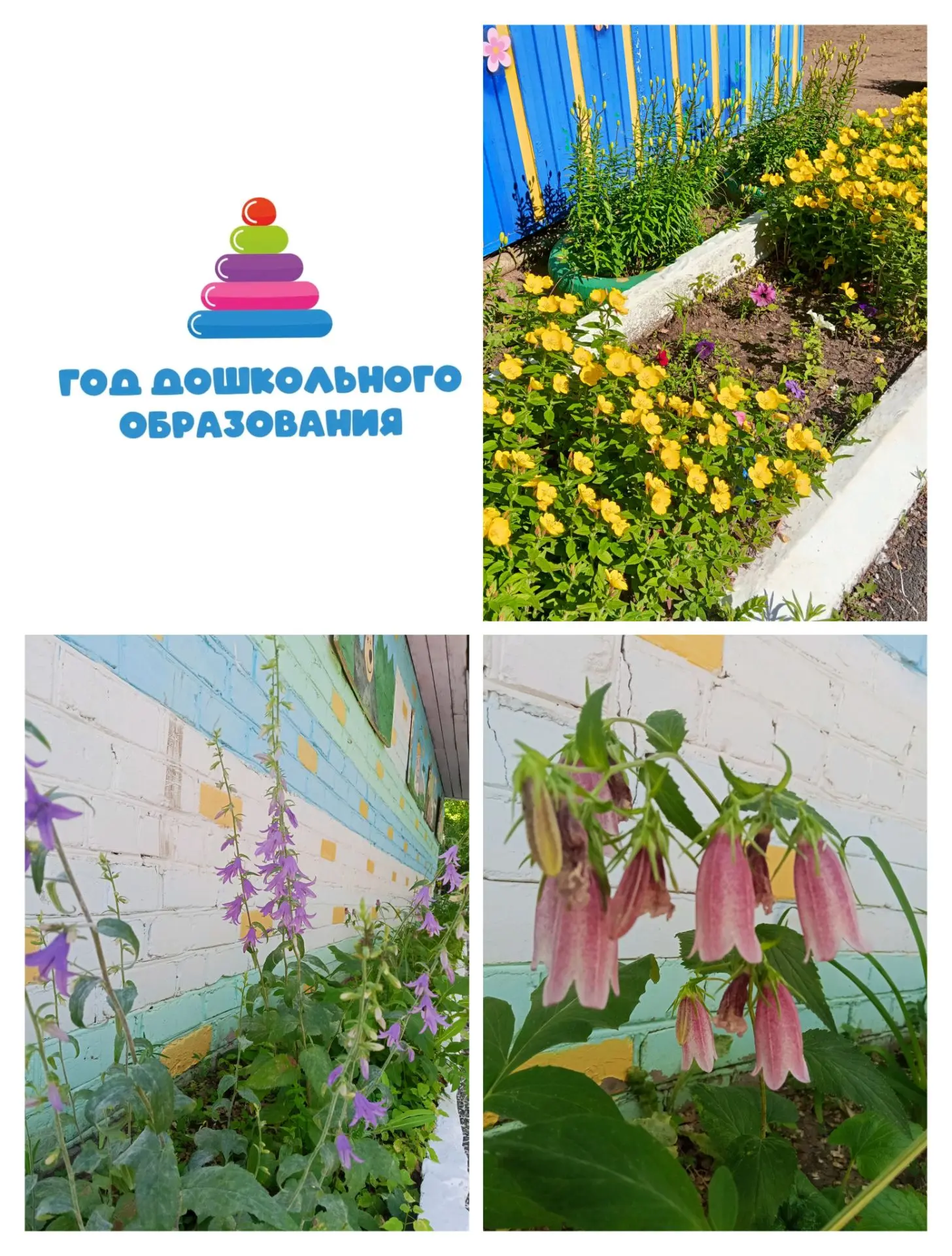 Цветник в детском саду.🌹🌹🌹🌼🌼🌻🌻🌺🌺🌷🌷
Для детского сада цветник — это не просто украшение, а