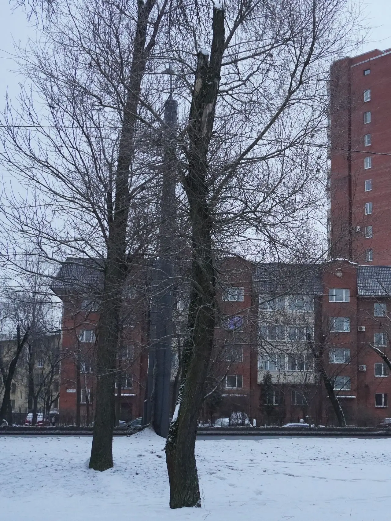 Удаление усохших деревьев входит в комплекс санитарно-оздоровительных мероприятий, проводимых на объ