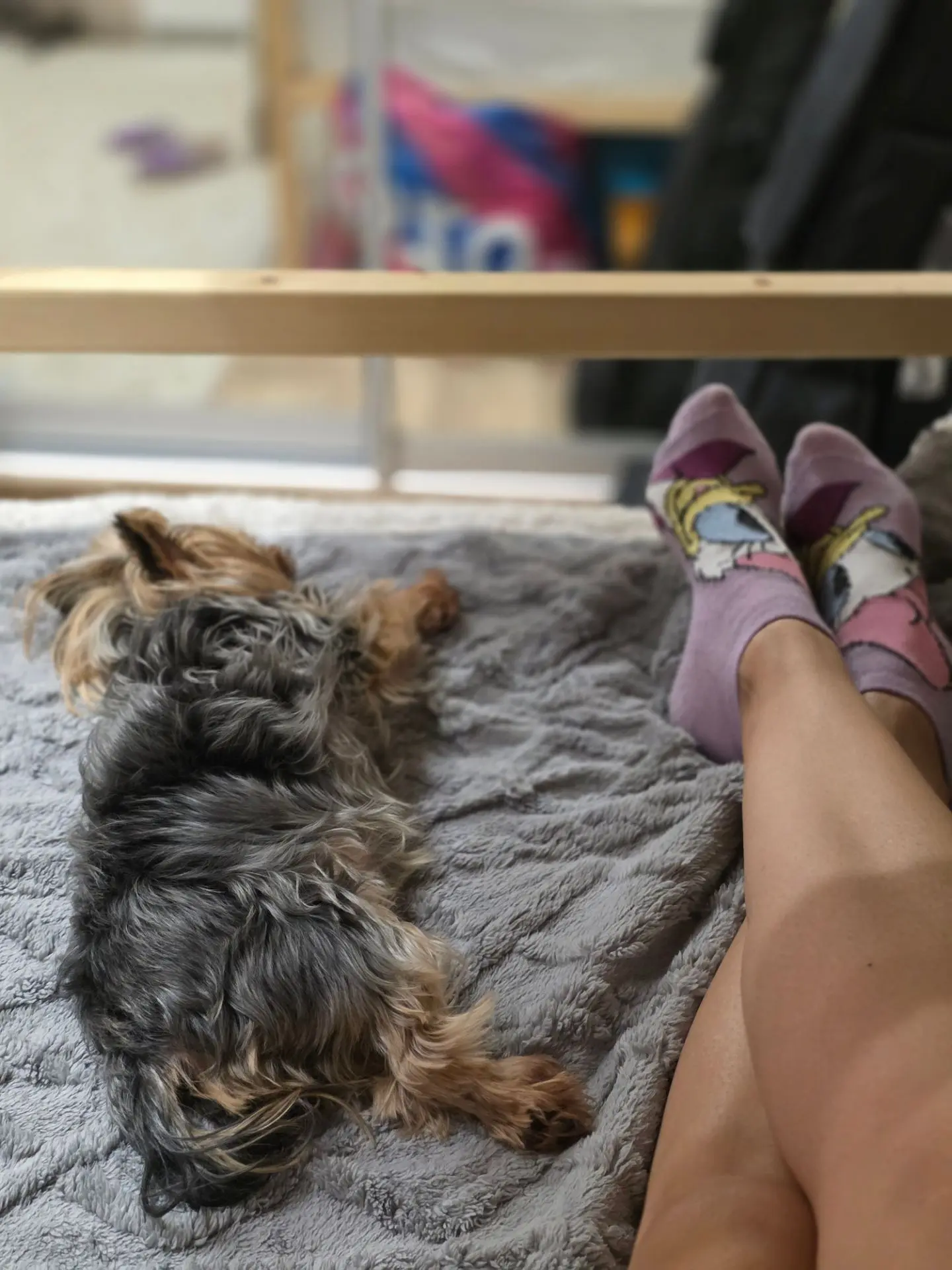 Всем доброй ночи! 

🐶 Лялечка уже спит! Она так «устала» за выходные, что без сил рухнула спать.

�