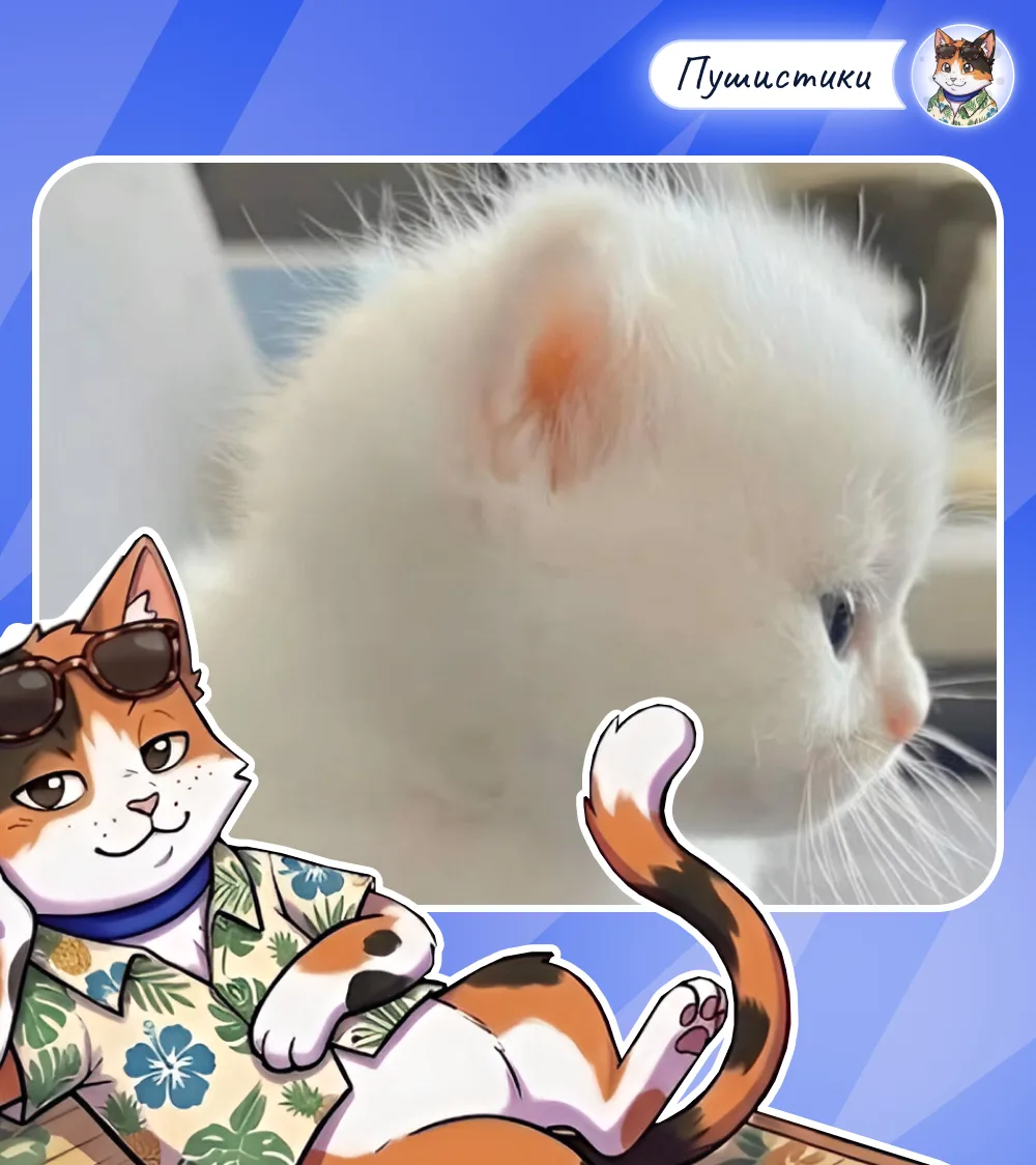 🐾 Кошка трётся головой о вашу руку, мурлычет, а через секунду может легонько прикусить

Многие дума