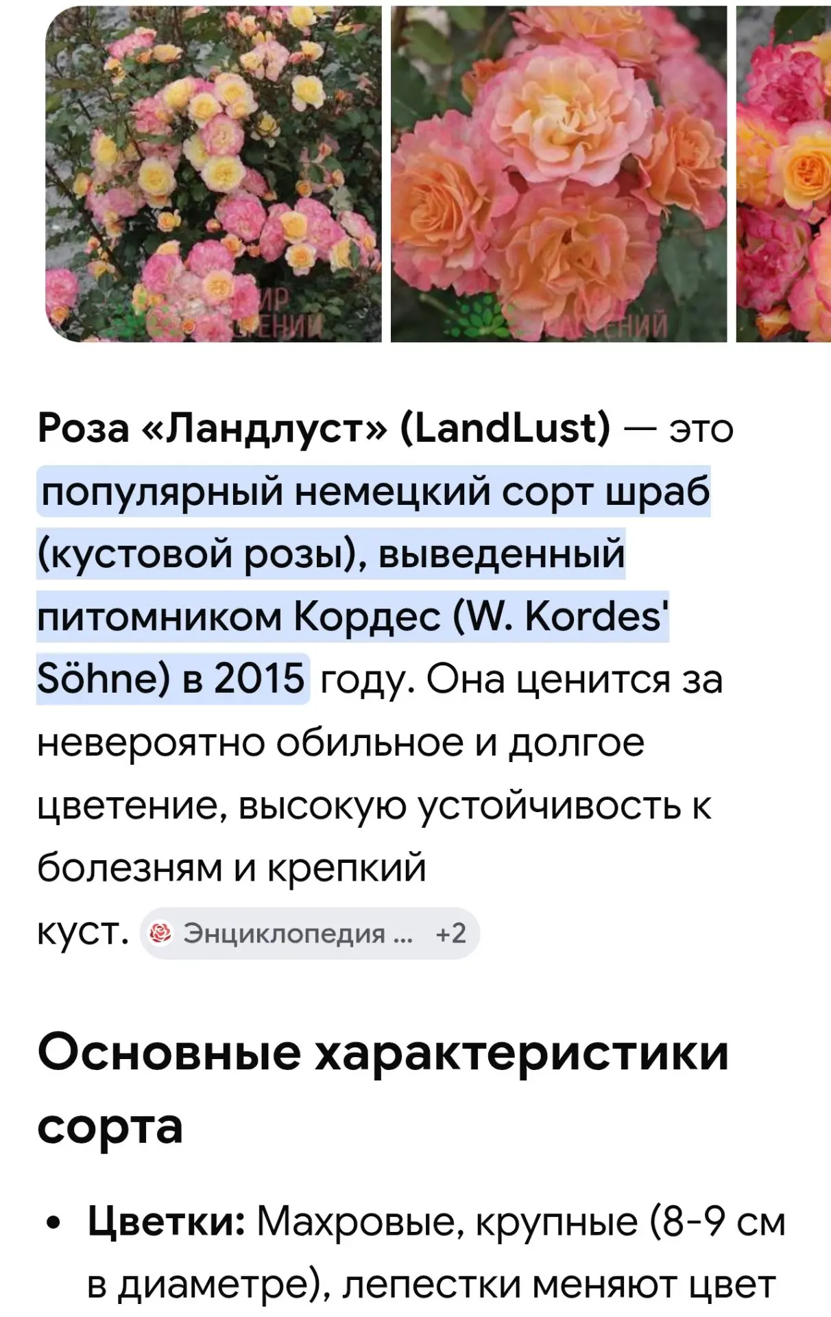В наличии! 
ЗКС Цена 750 руб