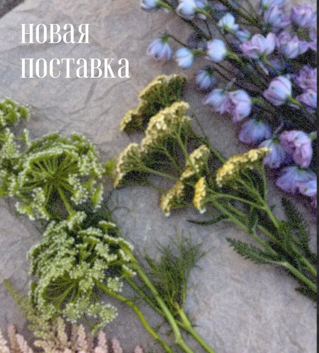 Лето - прекрасное время, чтобы наслаждаться полевыми цветами 💞 

Ароматные, нежные и такие воздушны