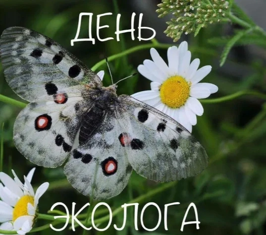 🍀📸День эколога в пришкольном лагере: «Природа в фокусе» – ловим красоту и креатив в каждом кадре!
