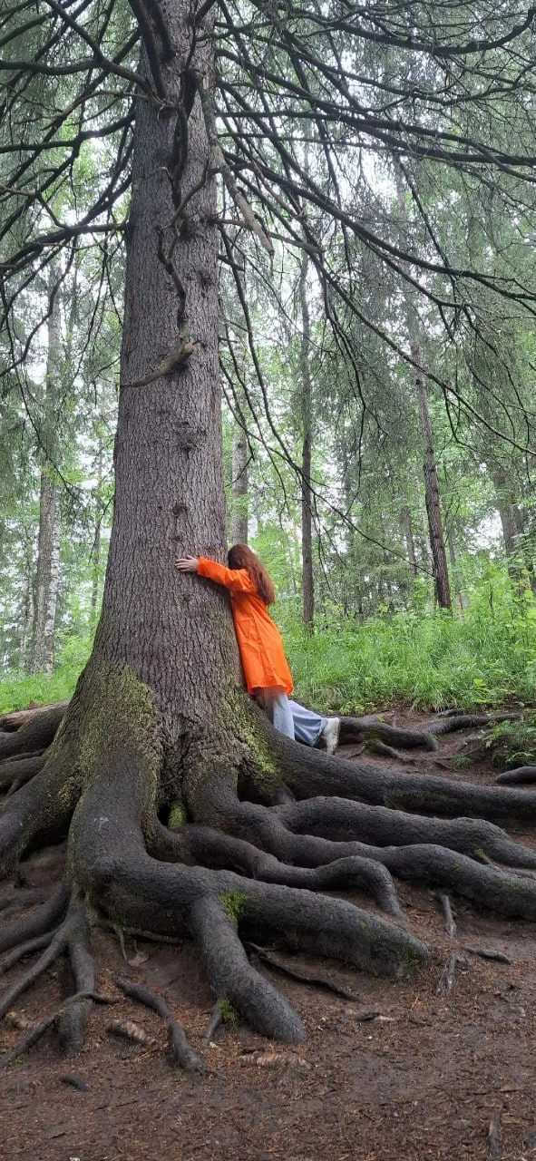 🌳  Парк "Оленьи Ручьи", посёлок Бажуково
#СвердловскаяОбласть

📌 На территории парка насчитывается