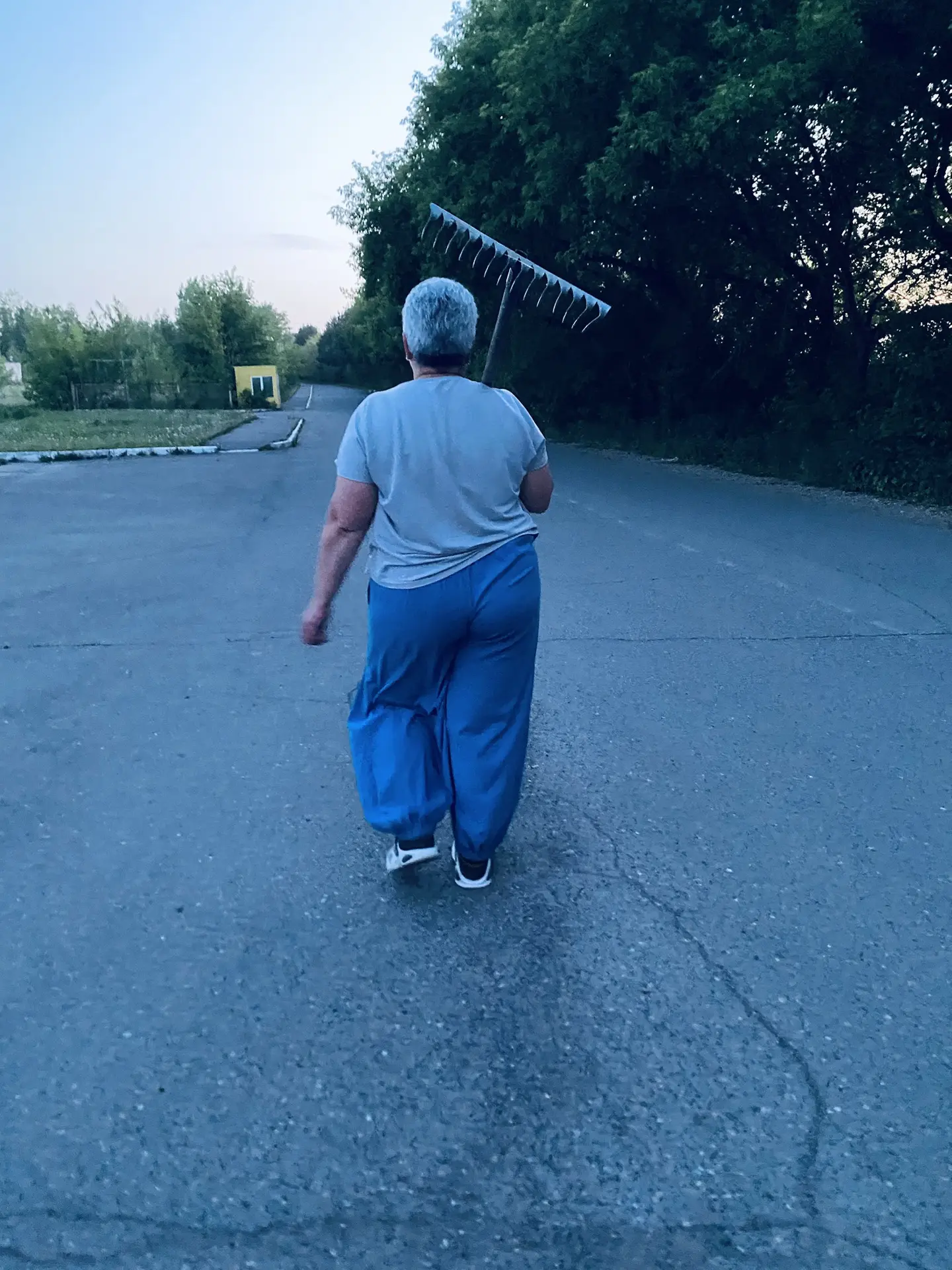 Закончили. 
В большую клумбу посадили: 
Вербену бонарскую (по центру), шалфей мучнистый и бархатцы, 