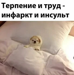 ТРЕНД НА УСЛОЖНЕНИЕ

Наткнулся на новый зарубежный тренд - friction-maxxing. Если коротко, это идея 