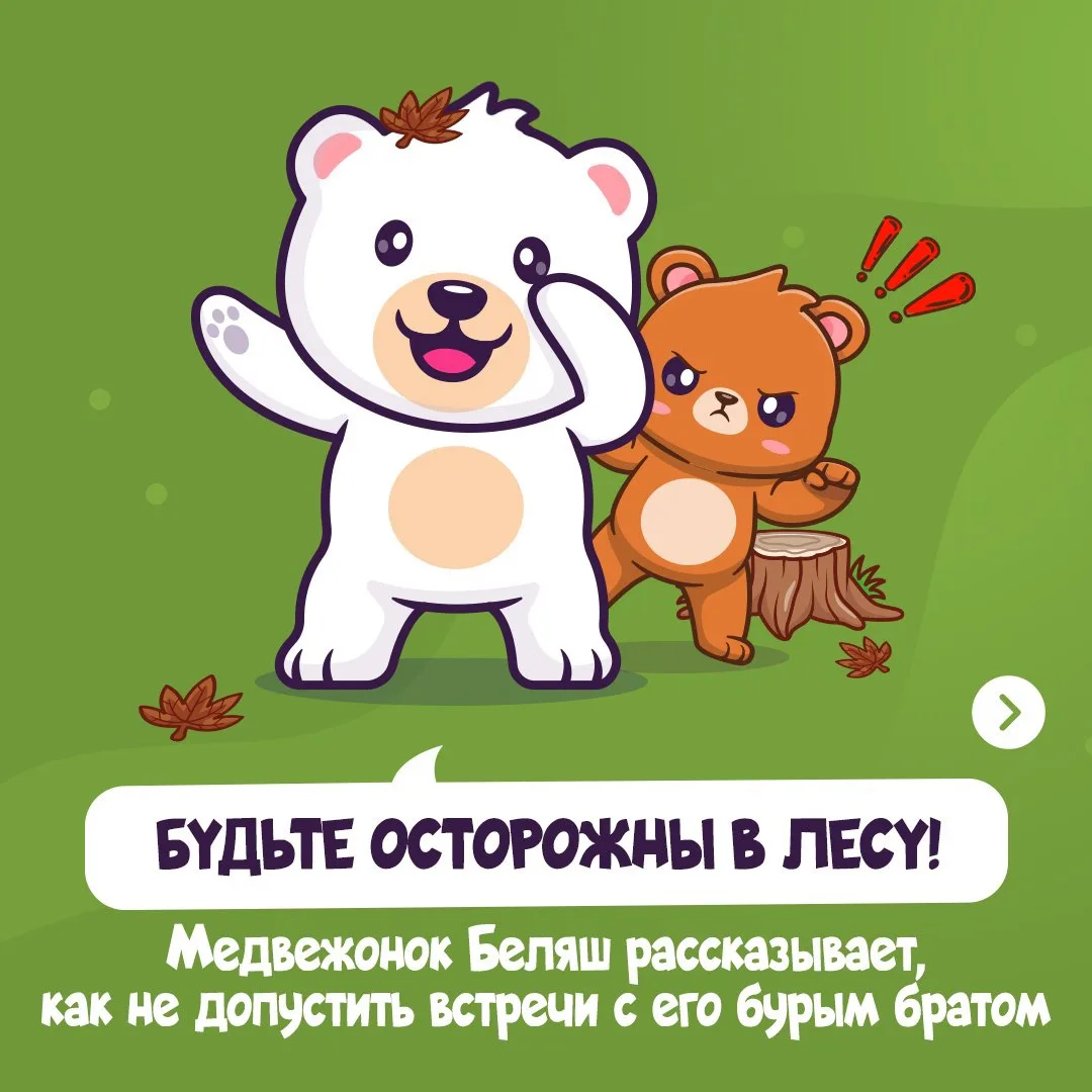 🐻 ВАЖНО: Как избежать близкой встречи с медведем в лесу

❗️В этом году на Колыме уже зафиксировали 