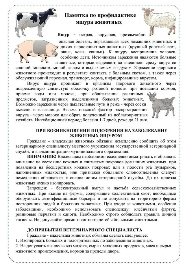 Памятка по профилактике ящура!