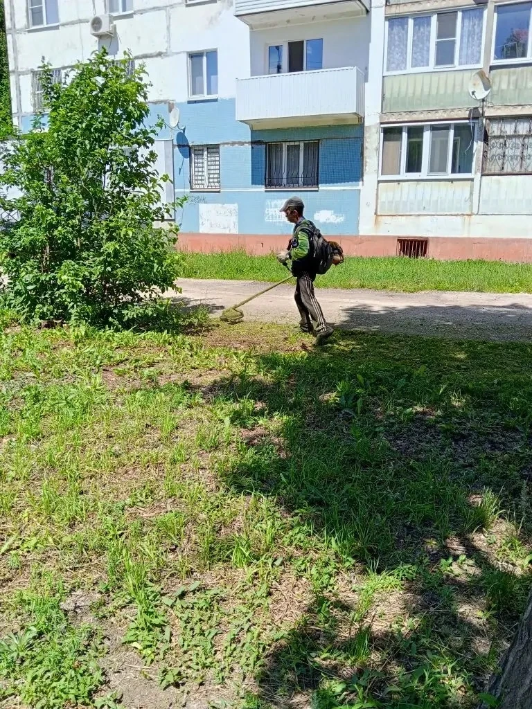 Слегка уважаемая контора по окосу травы. хоть какк то инструктируете триммерщиков что и как надо кос