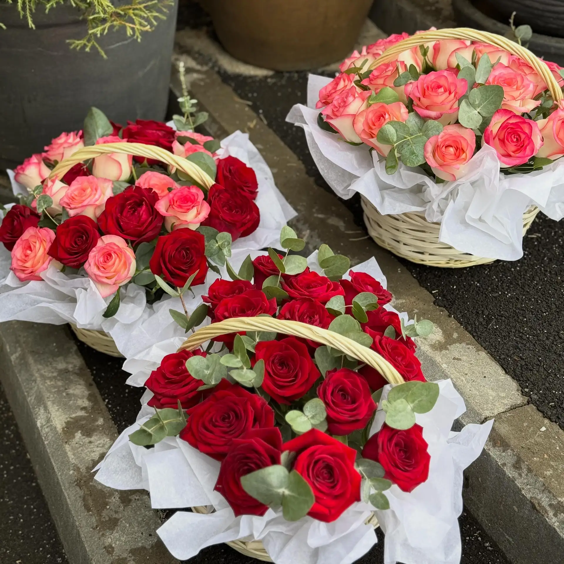 Корзины с розами Red Naomi и Jumilia — изысканный подарок для самых особенных моментов. 🌹

Бархатны