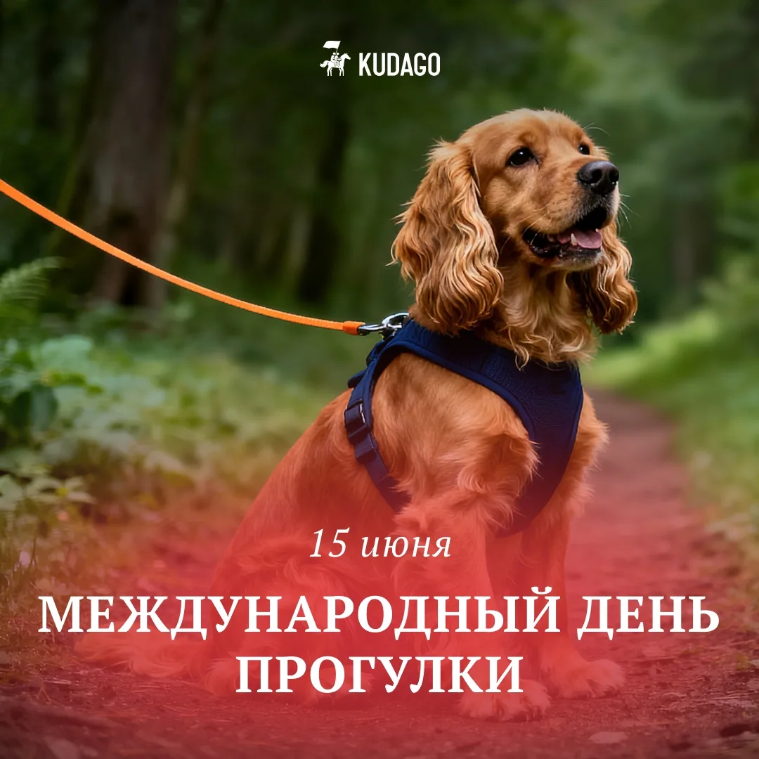 Сегодня — Международный день прогулки

Если вы давно собирались выйти подышать свежим воздухом — вот