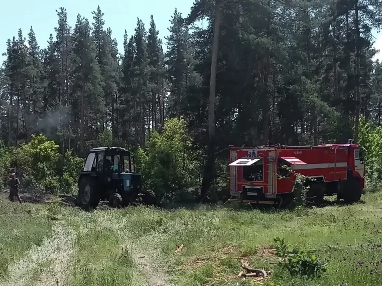 🔥 Лесопожарная обстановка в Самарской области за прошедшую неделю

12 июня ликвидирован пожар в Рач