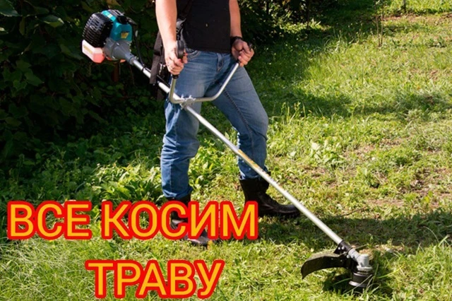 Внимание владельцев земельных участков!

Уважаемые жители!

Напоминаем вам о необходимости содержать
