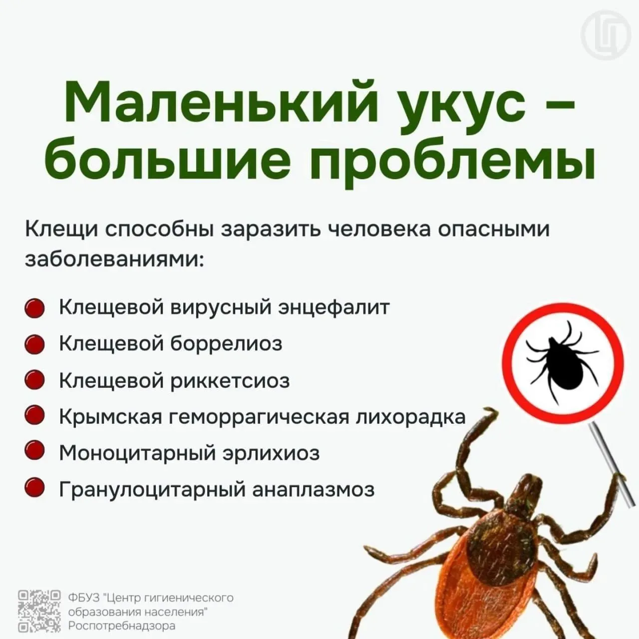 Клещи: Маленький укус – огромный риск. Как защититься и безопасно удалить?С наступлением тепла приро