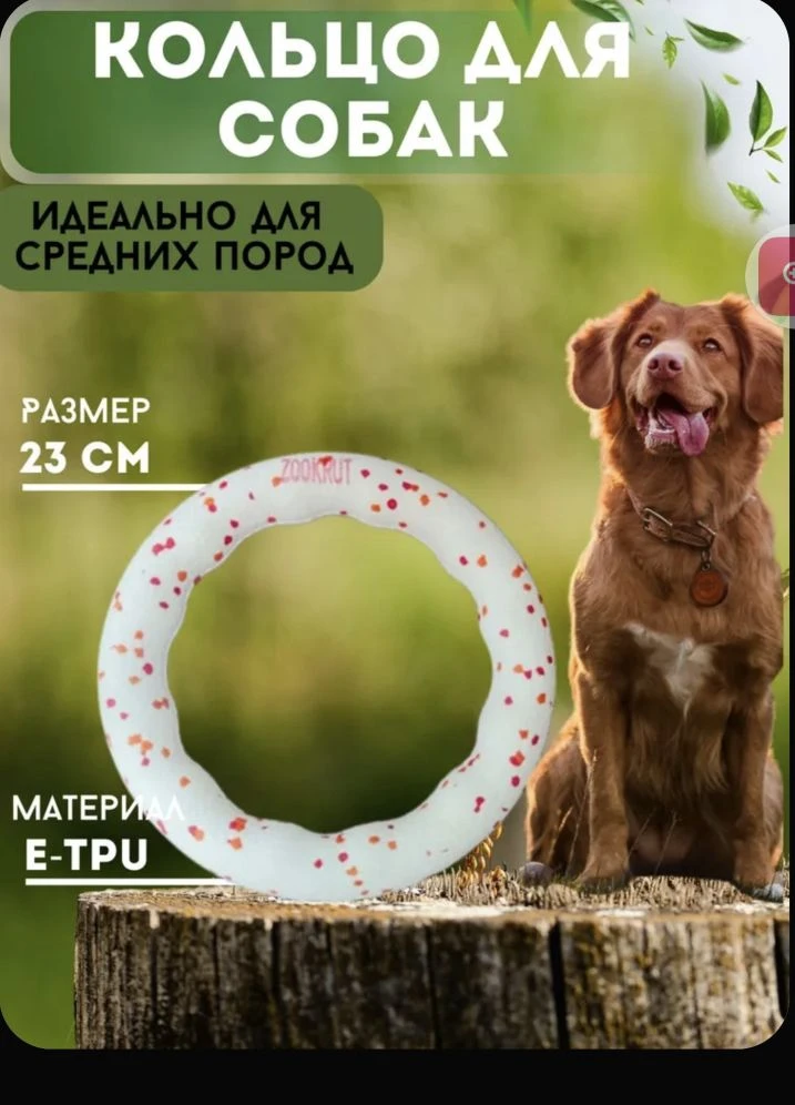 Прямая ссылка на кольцо для совместной игры:
Кольцо-пуллер для собак крупных и средних пород ZooKrut