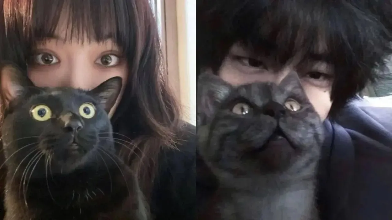 ❤️ - поставим
🖤 - мне не нравится