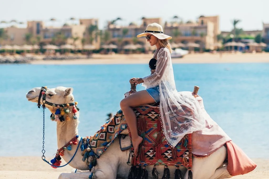 🐪 Летим в Египет!

✈️ Вылеты из Санкт-Петербурга
🍉 Всё включено
👫 Цены указаны за 2-х взрослых

⭐