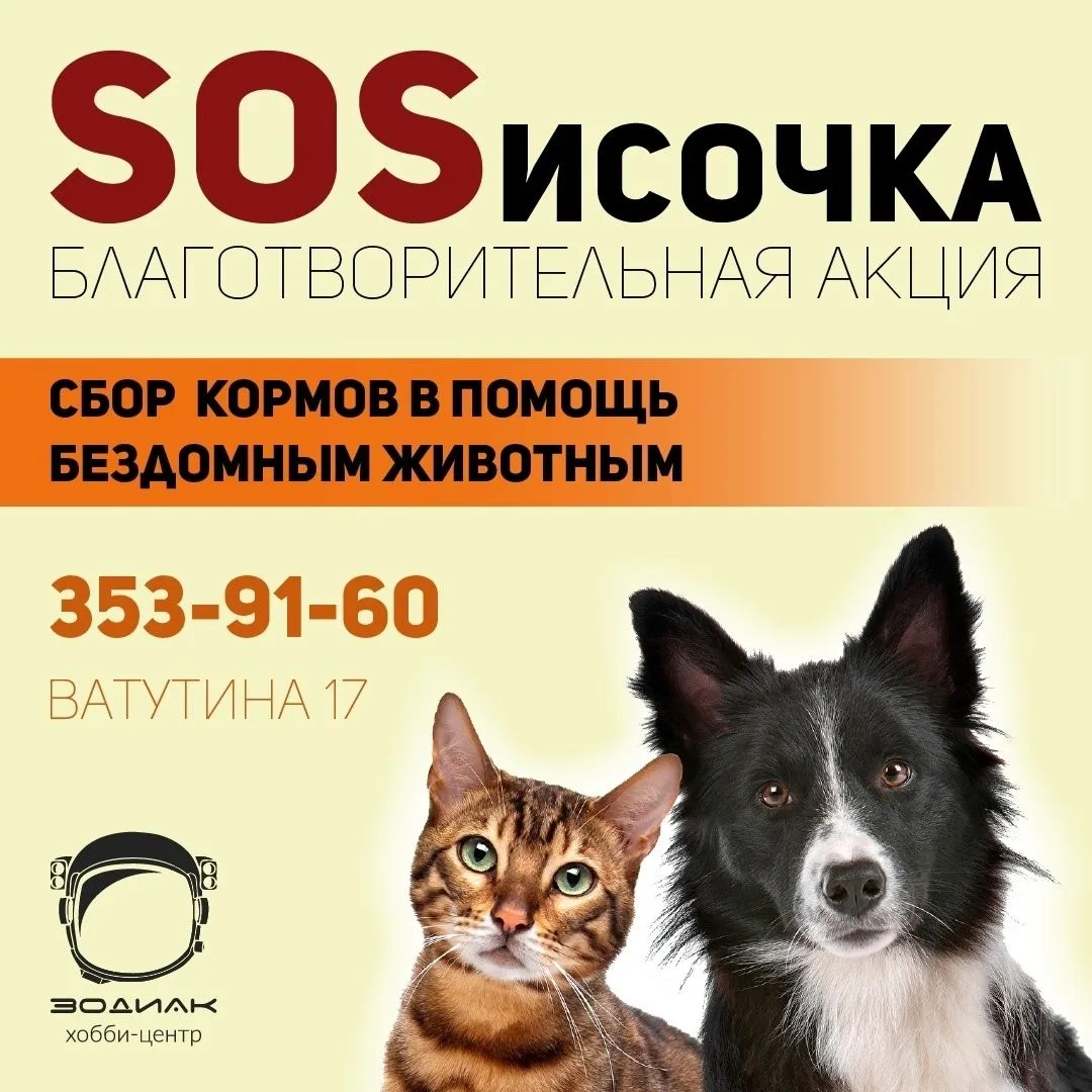 Стартует сбор в рамках благотворительной акции «SOSисочка» 
в помощь бездомным животным Первого горо