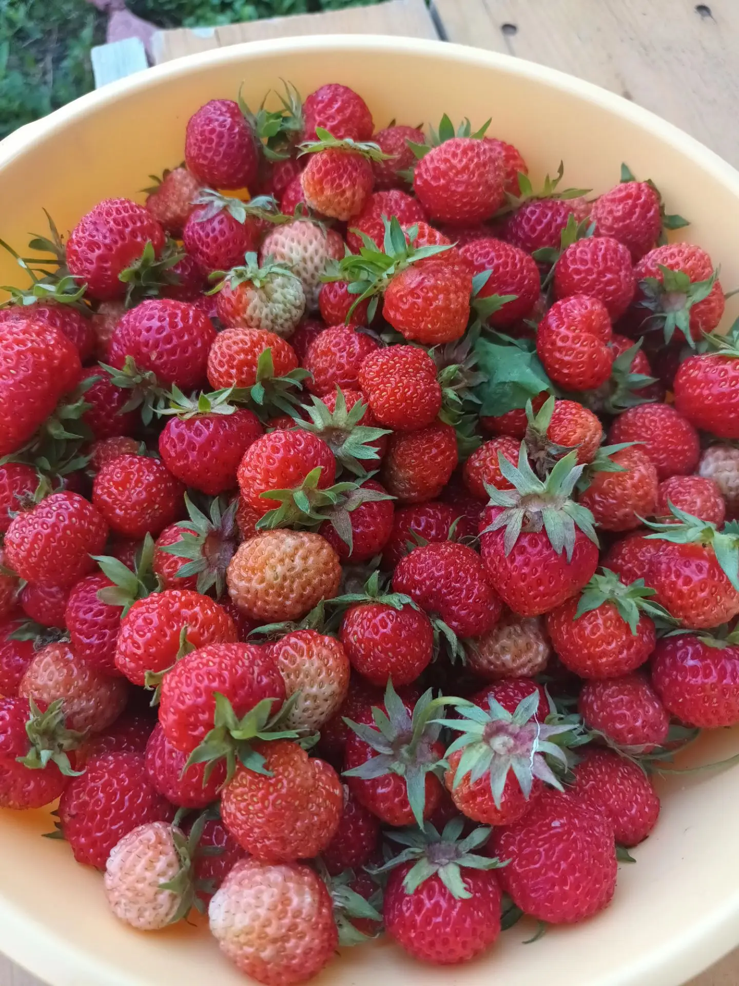 ✨ Баҡса еләге   С витаминына  бай 

🍓Ул иммунитетты нығыта. Организмға көс-ҡеүәт тә өҫтәй.
💧 Бөйөр