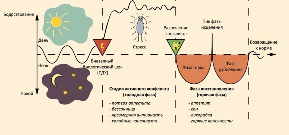 Весь второй биологический закон в одной картинке

А пока готовлю для вас подкаст про третий биологич