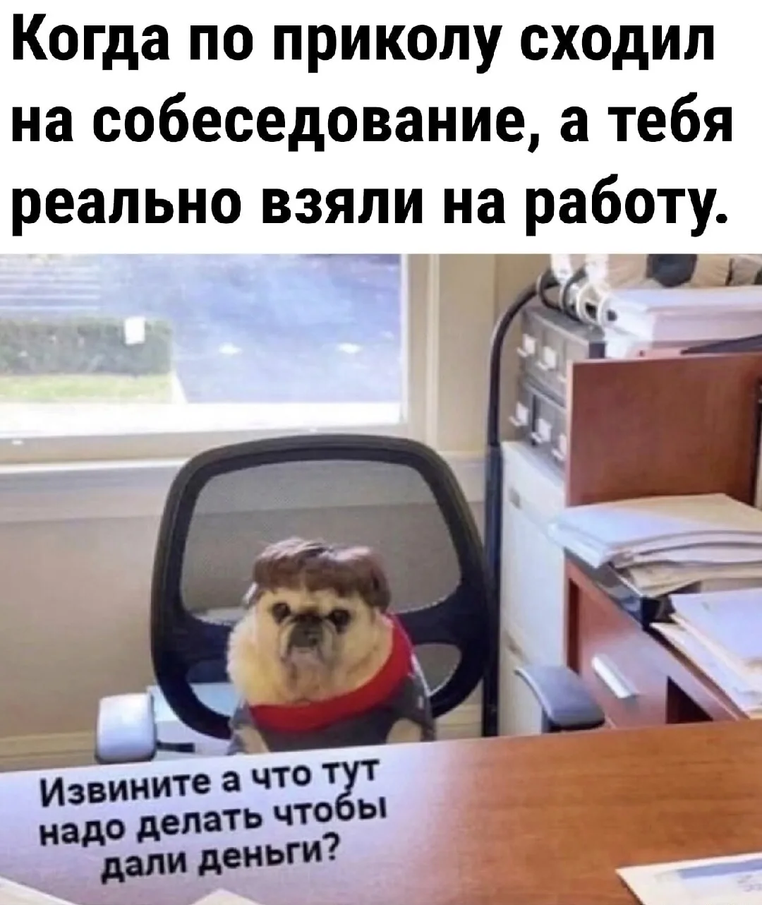 Ты получил оффер 🎉 Поздравляем! А теперь самое страшное — первый рабочий день.

Не паникуй. Вот 10 