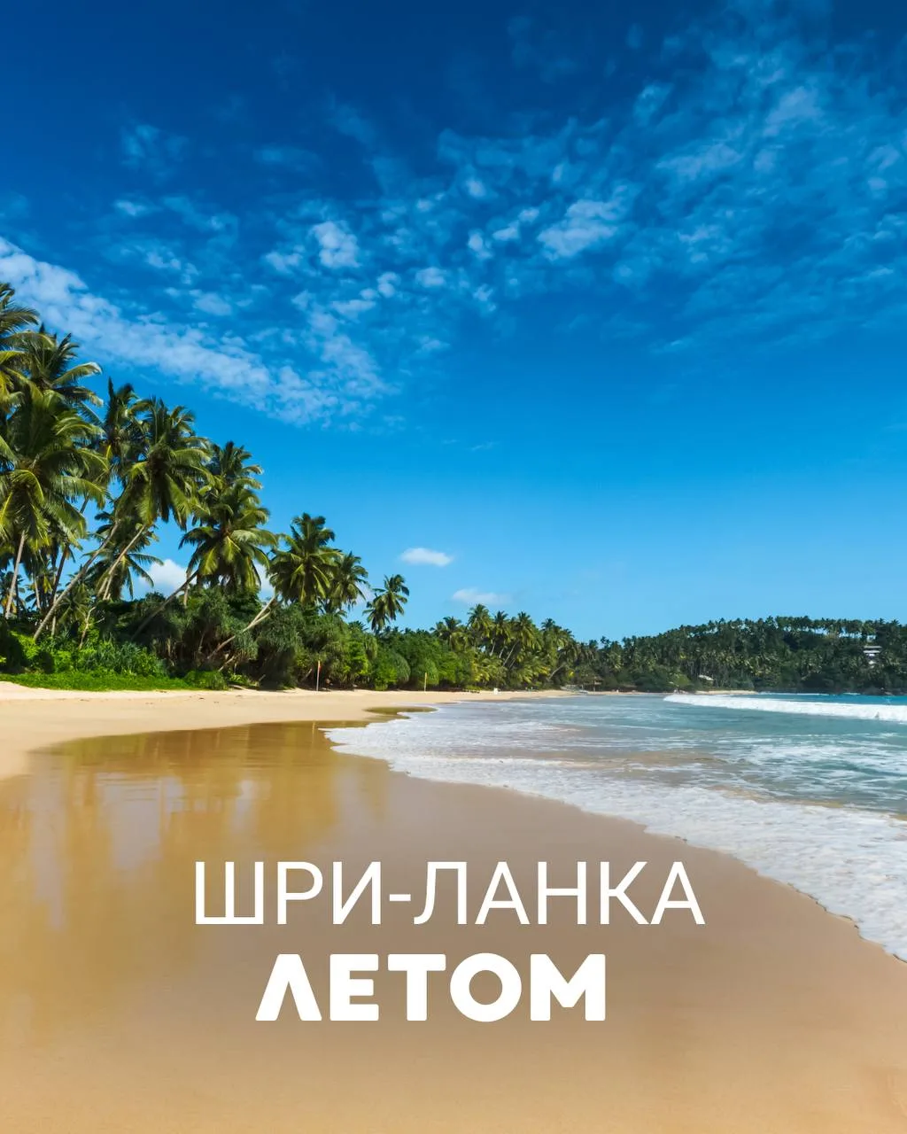 🇱🇰 Шри-Ланка летом

Когда говорят о Шри-Ланке, чаще всего вспоминают южное побережье. Но летом вни