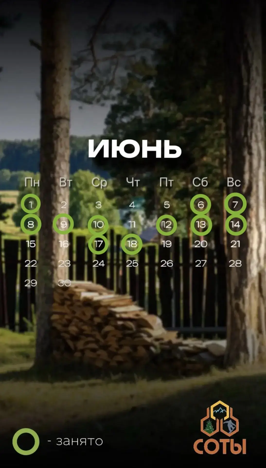Актуальный календарь на июнь 📆

Ждем Вас в гости 🙏

За подробностями пишите  по номеру 89632371981
