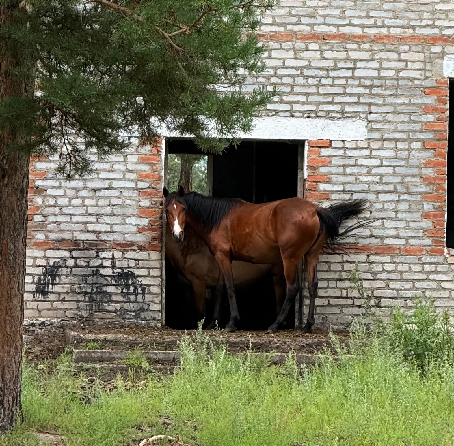 Красота!