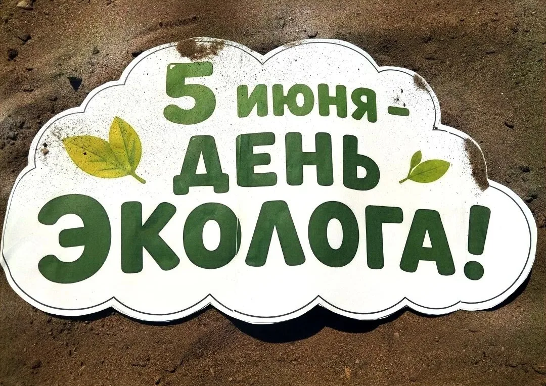 «С праздником, наш Трудовой отряд! 🌳💪»

Сегодня, 5 июня, мы отмечаем не просто очередной день, а Д