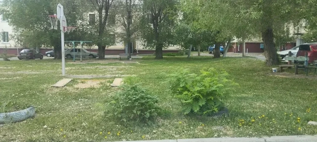 Покос придомовых территорий продолжается
 
ООО УК Старый город» продолжает работы по покосу травы на