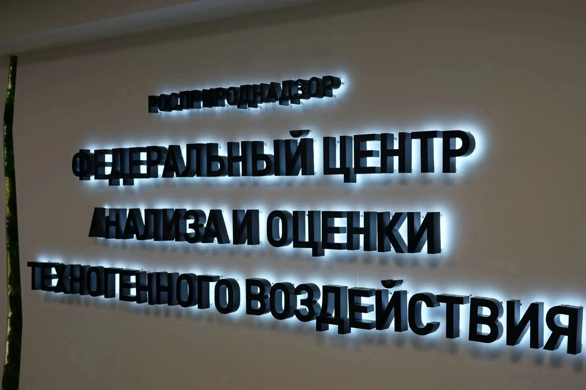Коллектив ФЦАО присоединился к акции «Российский триколор»: преемственность традиций и единство 🇷🇺