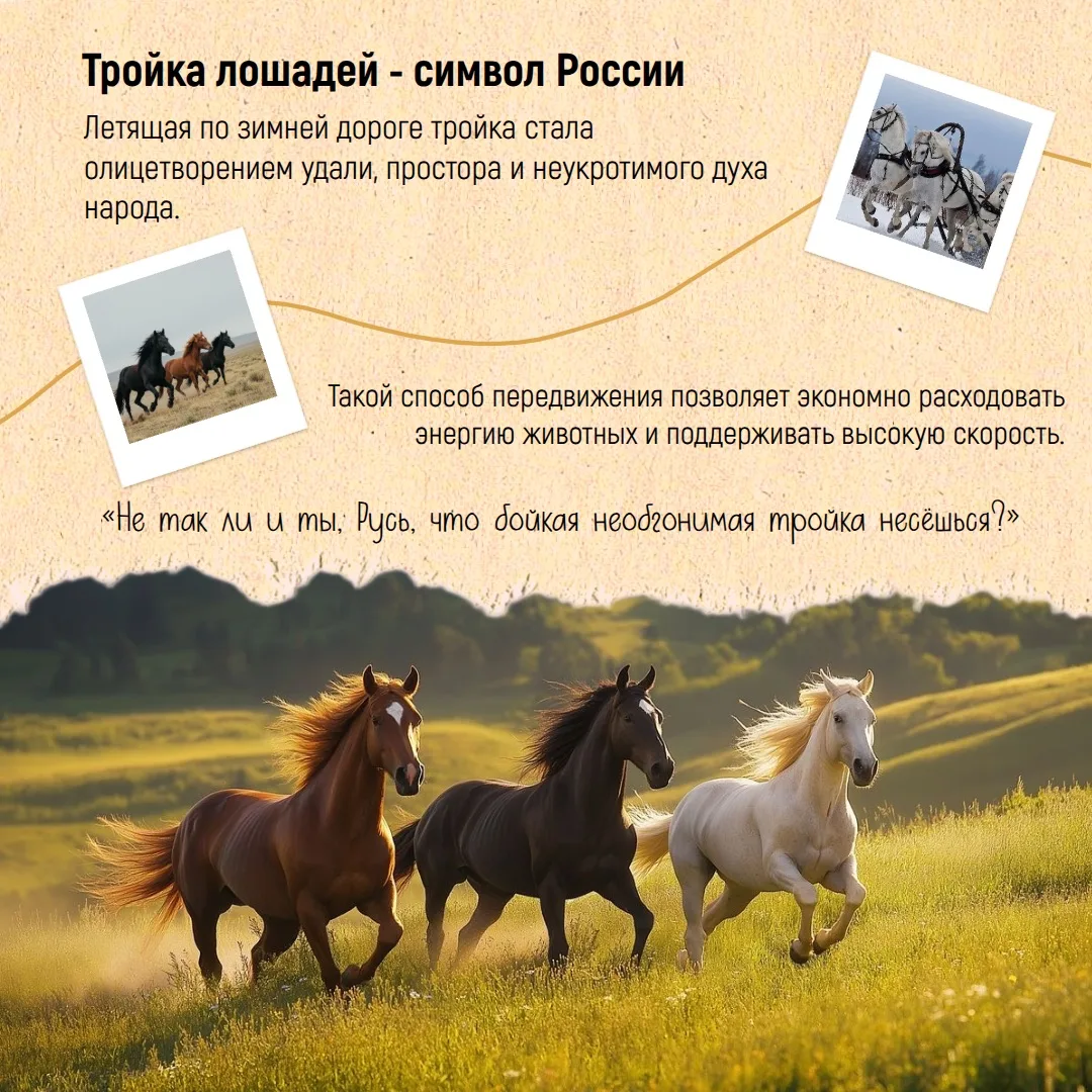 🇷🇺С Днём России, друзья!

Мы привыкли, что символы страны – это флаг, герб и гимн. Но есть у Росси