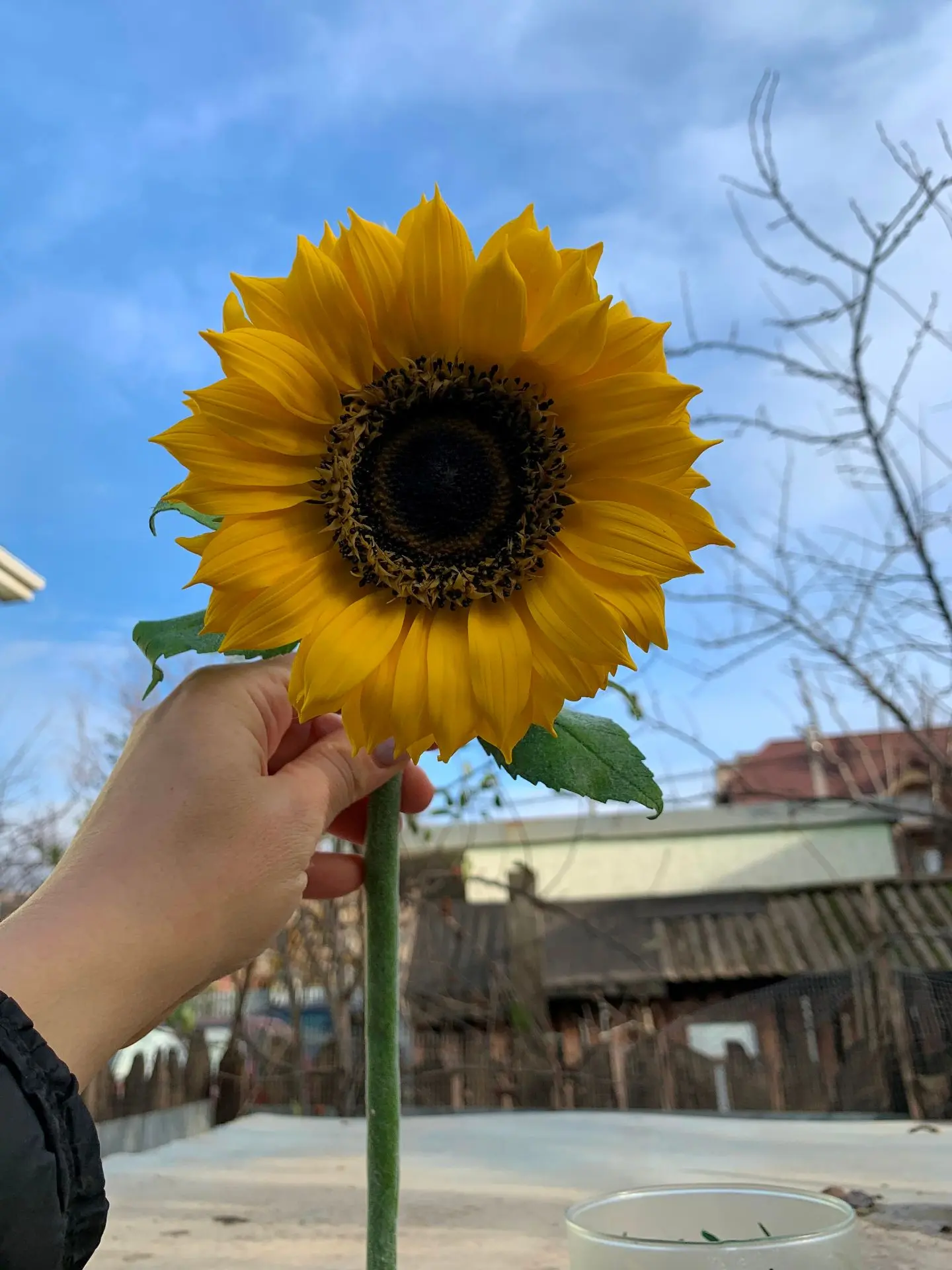 ☀️ Новинка в ООО «ФРКРД»: подсолнух ручной работы — кусочек солнечного лета в вашем доме! ☀️Друзья, 