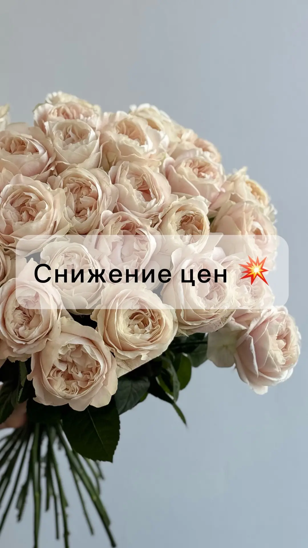 ✨СНИЖЕНИЕ ЦЕН НА МОНОБУКЕТЫ ✨

У нас отличные новости! Ваши любимые монобукеты теперь стали еще дост