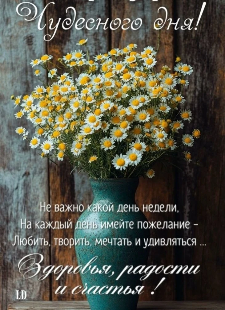 Чудесного дня! Пусть жизнь радует каждый день!

НАШИ КАНАЛЫ:
Идеи для дачи
Моя любимая дача
Дачные з