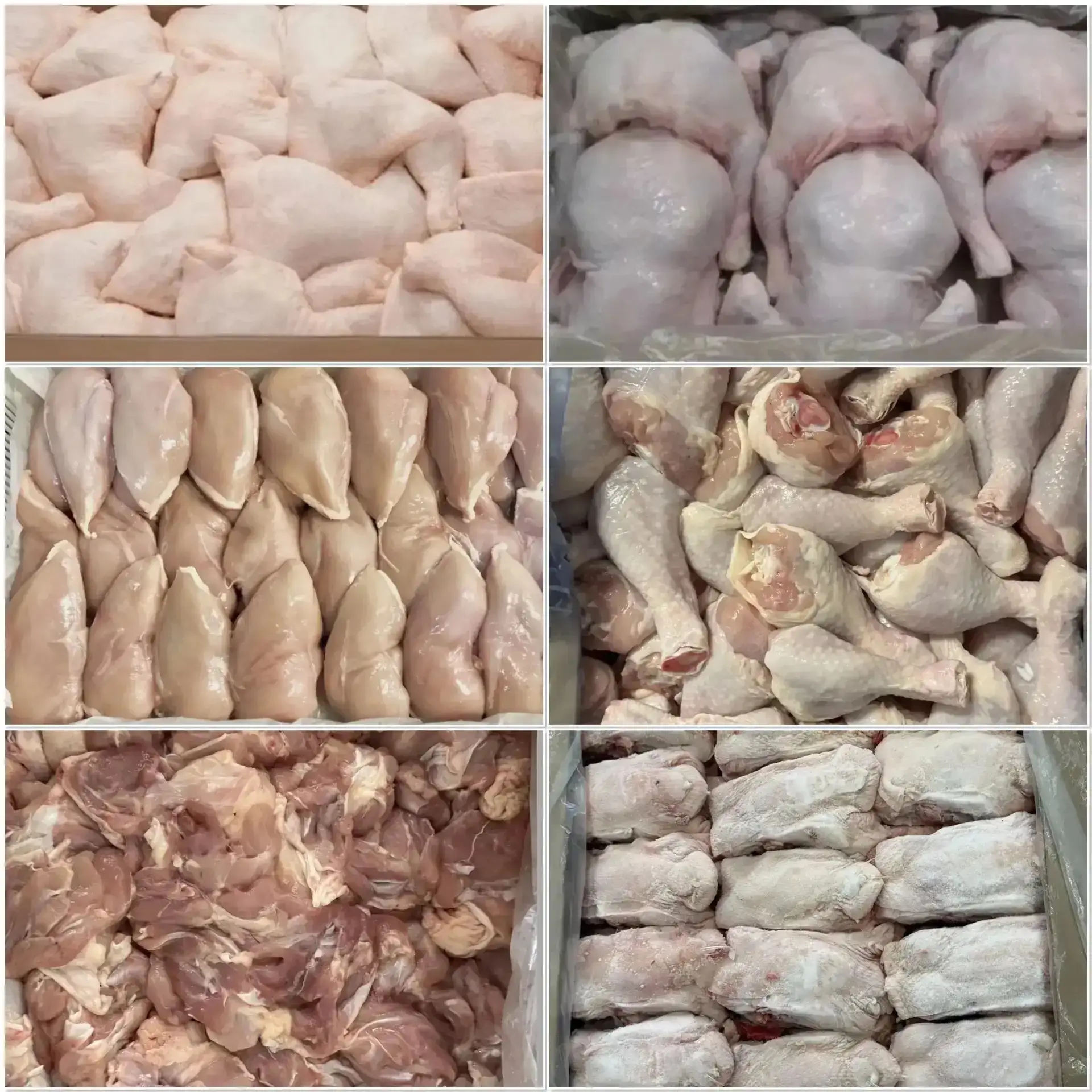 Продаем мясо цыпленка 
МЯСО ОХЛАЖДЕНОЕ
Грудка 270р/кг-12кг/уп 
Филе 370р/кг -12кг /уп 
Тушка 207р/кг