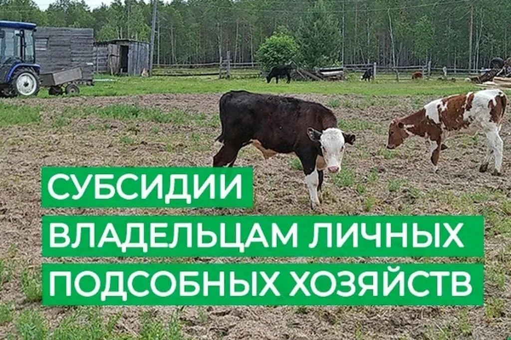 Открыт прием заявок на возмещение части затрат для ЛПХ 
 
Министерство сельского хозяйства и продово