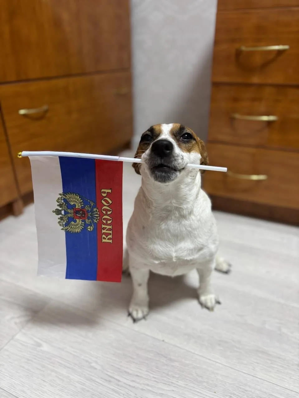 С Днем России!!! 🇷🇺