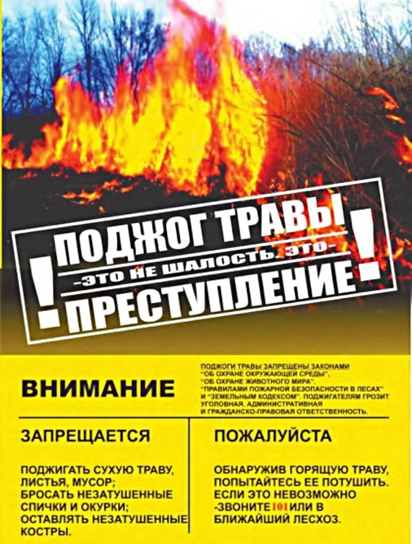 Пожарная безопасность в весенний период🔥❗ 

С наступлением весеннего периода на территории Чановс
