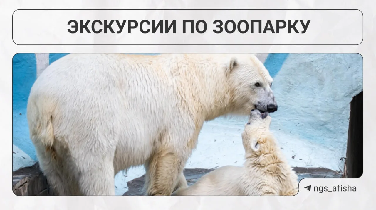 Идем на экскурсии по зоопарку?

Проведут их только в эту пятницу. Экскурсоводы подготовили интересны