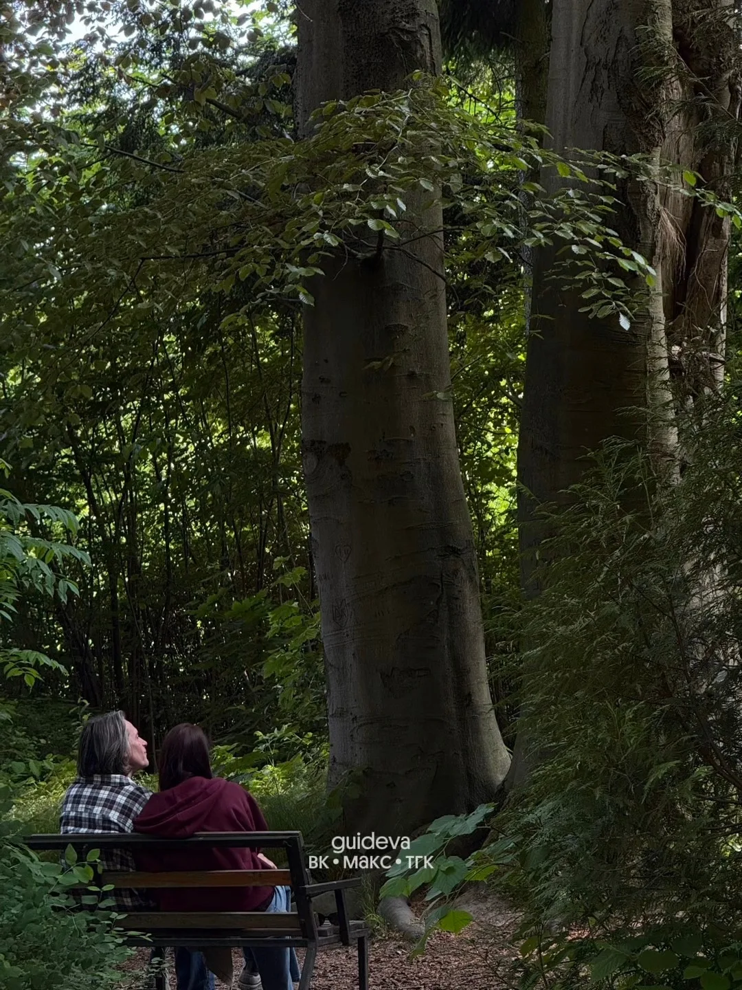 История длиной более 120 лет: как появился Ботанический сад Калининграда 🌳

Его история началась в 