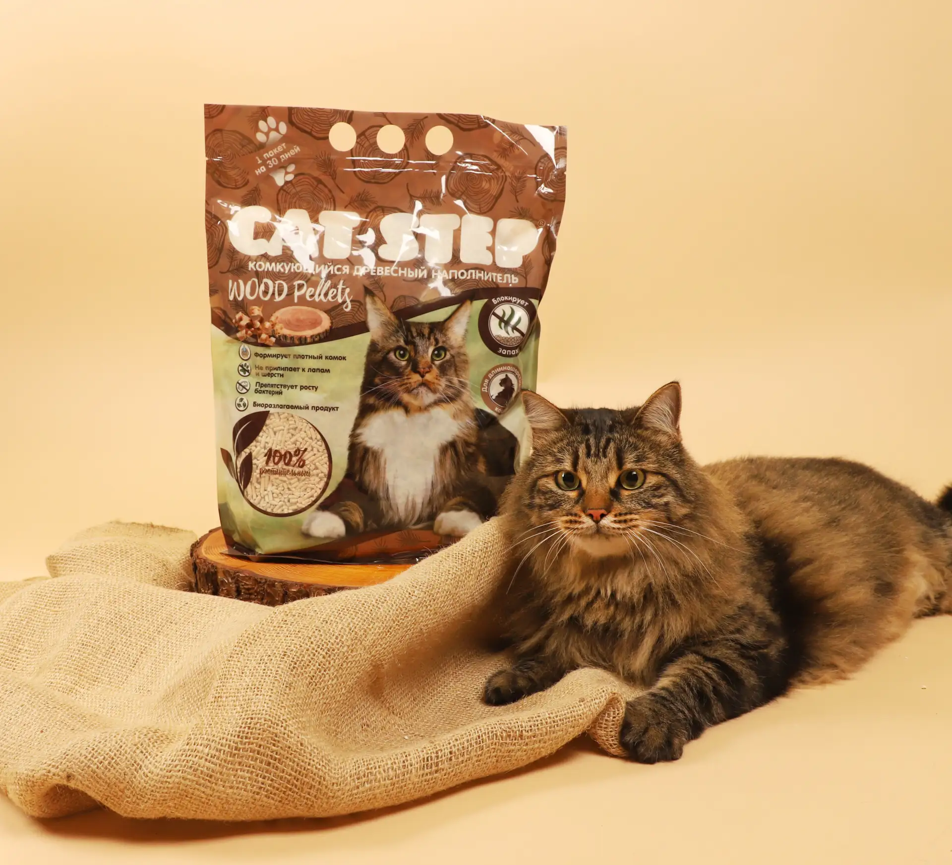 3 причины выбрать древесный комкующийся наполнитель CAT STEP ДРЕВЕСНЫЕ Пеллеты/ Wood Pellets 🪵🐈

И