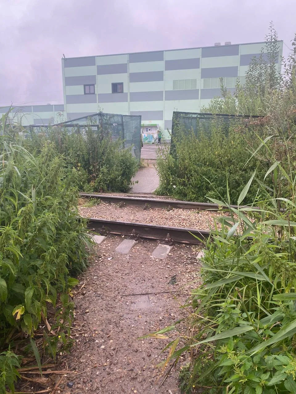 🥺На тропинке от парковки здания ул. Оборонная 26 до парковки магазина часто затапливает проход, и и