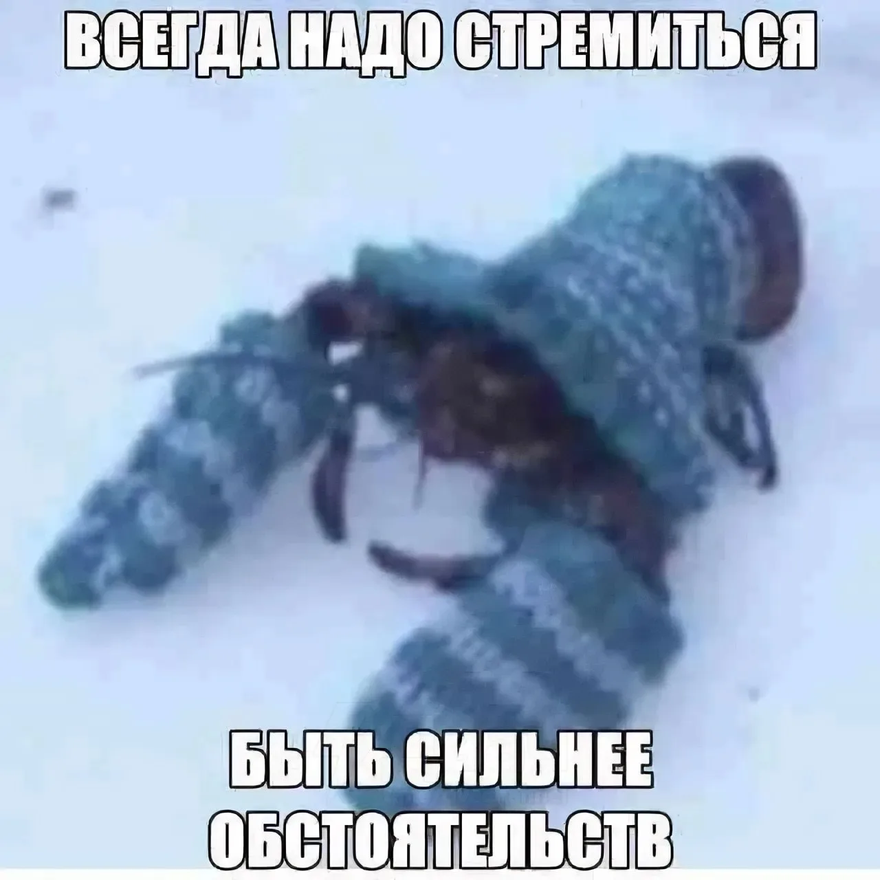 МЕМЫ 24/7-
Подписаться