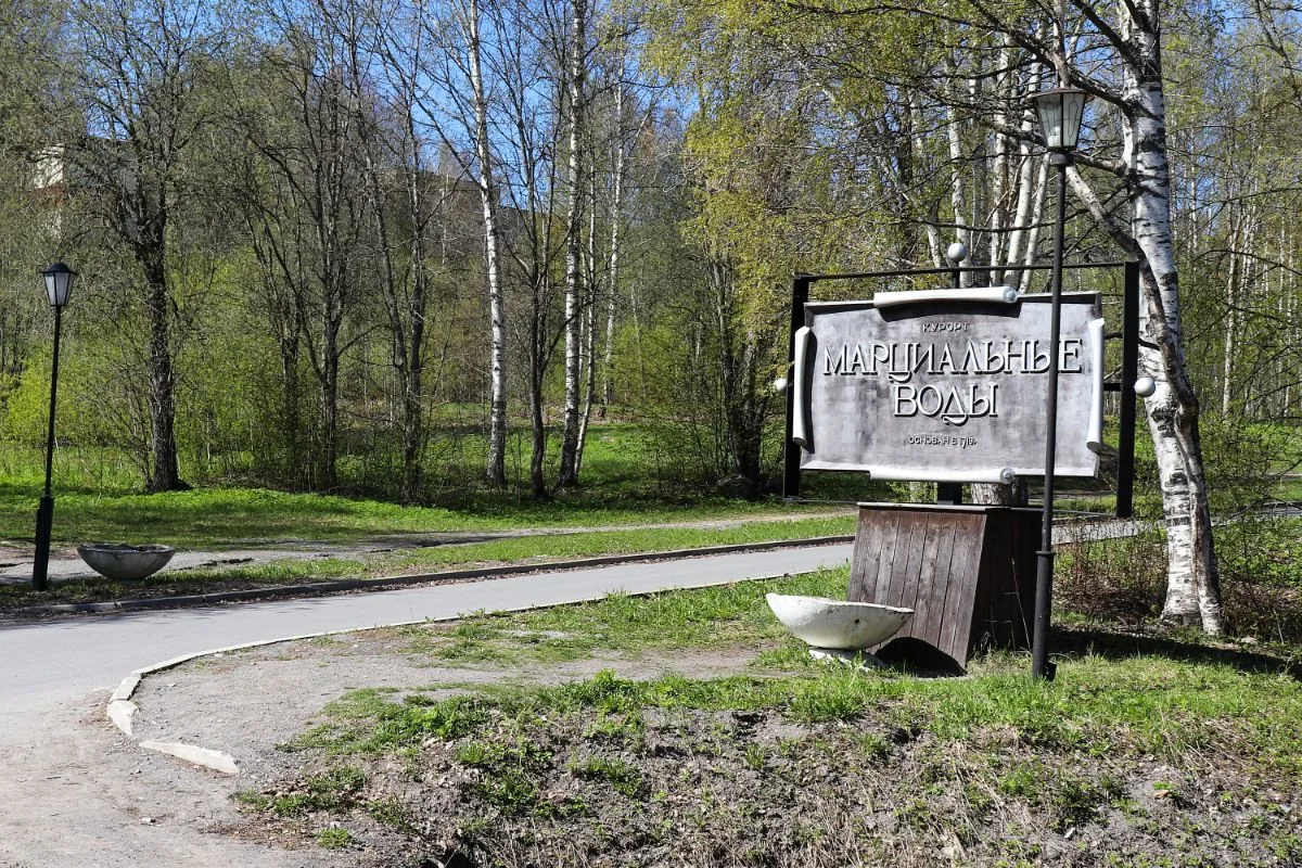 Ученые описали механизм образования марциальных вод в Карелии

Карельские ученые выяснили, как образ